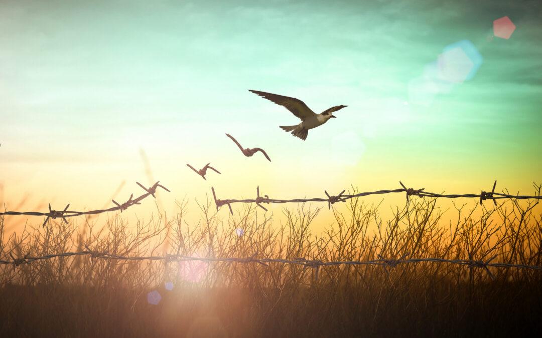 Transformation Takes Time – And A Planner